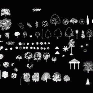Autocad 2D Plants