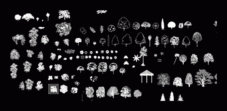 Brilliant Trees And Shrubs 2D Blocks . - Bibliocad Autocad 2D Plants Image