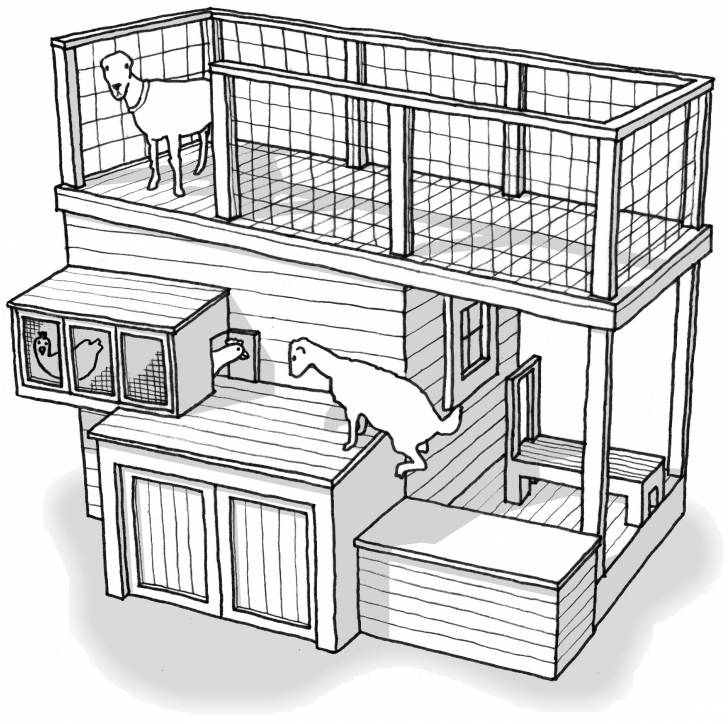 Exquisite Goat Shelter Plans Shed Front Newfangled The – Markthedev Goat Housing Plans Picture