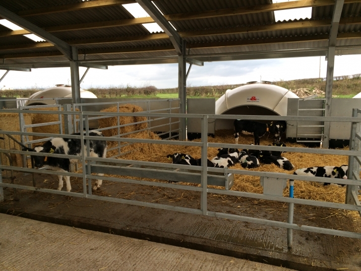 Gorgeous Apartments : Calf Housing Plans Dairy+Calf+Housing+Plans. Calf Calf Housing Plans Pic