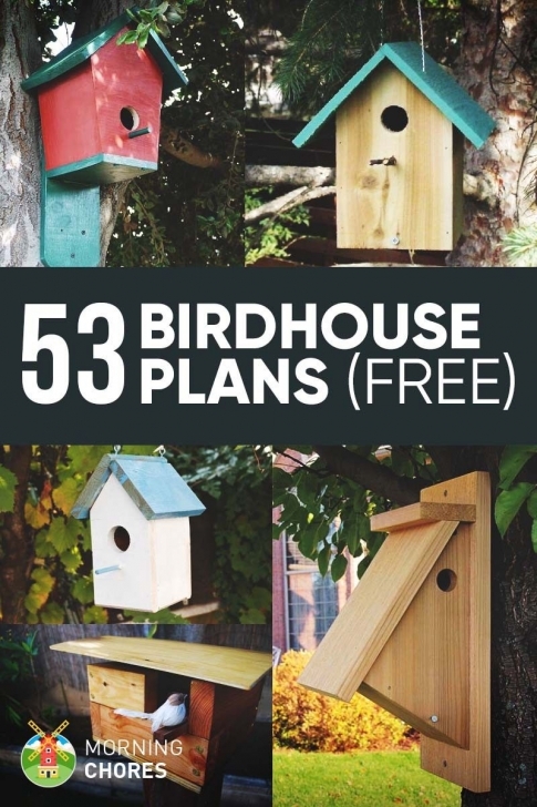 Great 53 Free Diy Bird House &amp; Bird Feeder Plans That Will Attract Them To Bird House Plans Picture