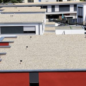 Problems With Flat Roofed Houses