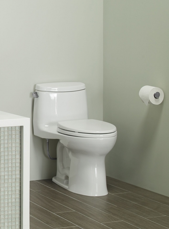 Remarkable Excellent Toto One Piece Elongated Toilet Ultramax Ii Bowl 1 28 Gpf Best Home Image 6 Room 1 Toilet Image
