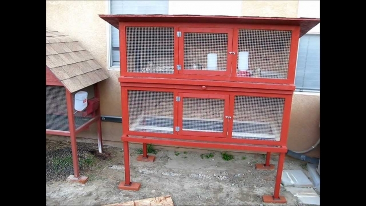 Top Homemade Quail Cage - Youtube Quail Housing Plans Picture