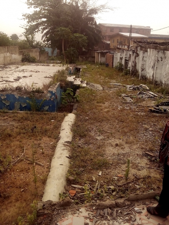Top Photo of Real Estate Properties In Lagos Nigeria: Lagos Nigeria Real Estate Plot Of Land In Nigeria Pic